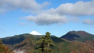山